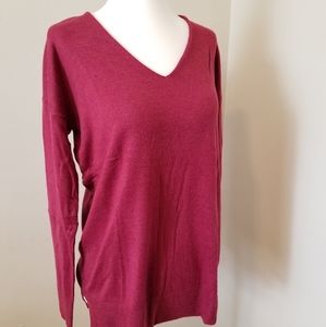 NWT Loft v-neck sweater
